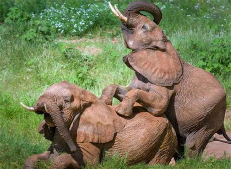 十大外围足球平台app