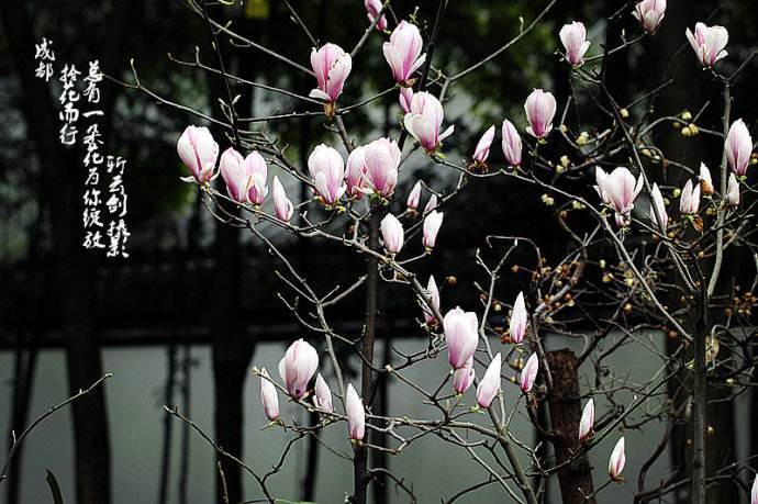 2020年全国一级造价工程师考试报名时间及入口汇总:十大外围足球平台app(图4) 十大外围足球平台app