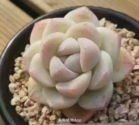 十大外围足球平台app